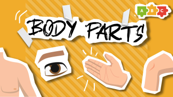 Части тела на английском