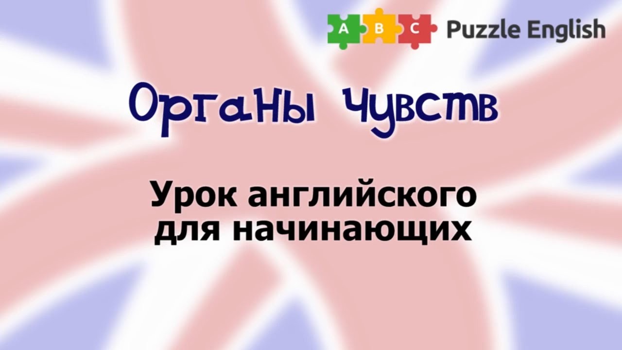 Урок по теме «Органы чувств»