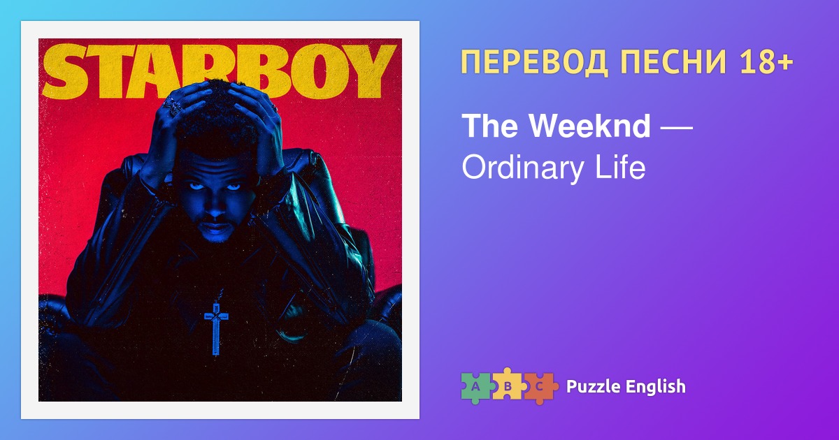meaning of life перевод песни